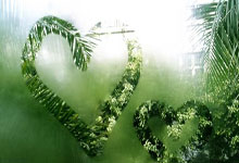 萨克拉门托国王啦啦队集锦-九游体育